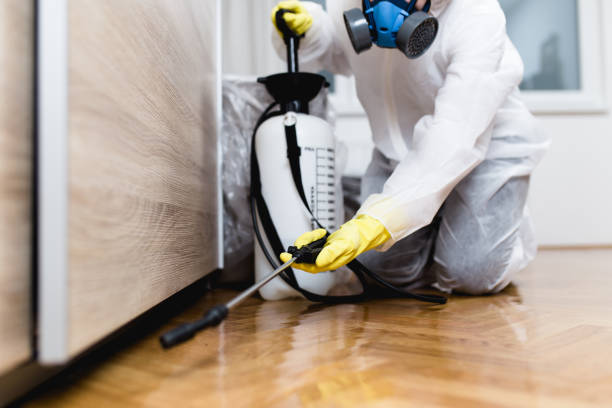 Best Pest Control Treatment  in Farngton, MI