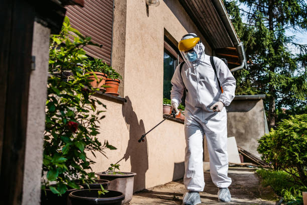 Best Termite Control Services  in Farngton, MI