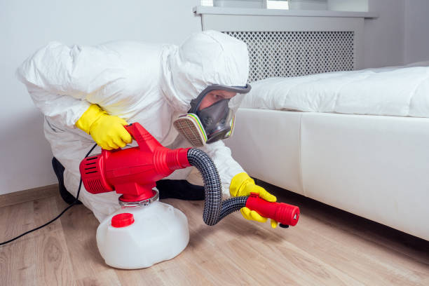 Professional Pest Control in Farmington, MI