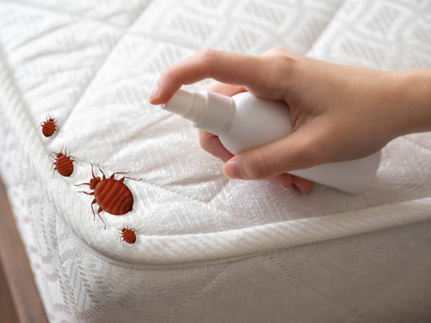 Best Emergency Pest Control  in Farngton, MI