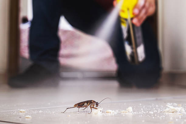 Best Pest Inspection Near Me  in Farngton, MI